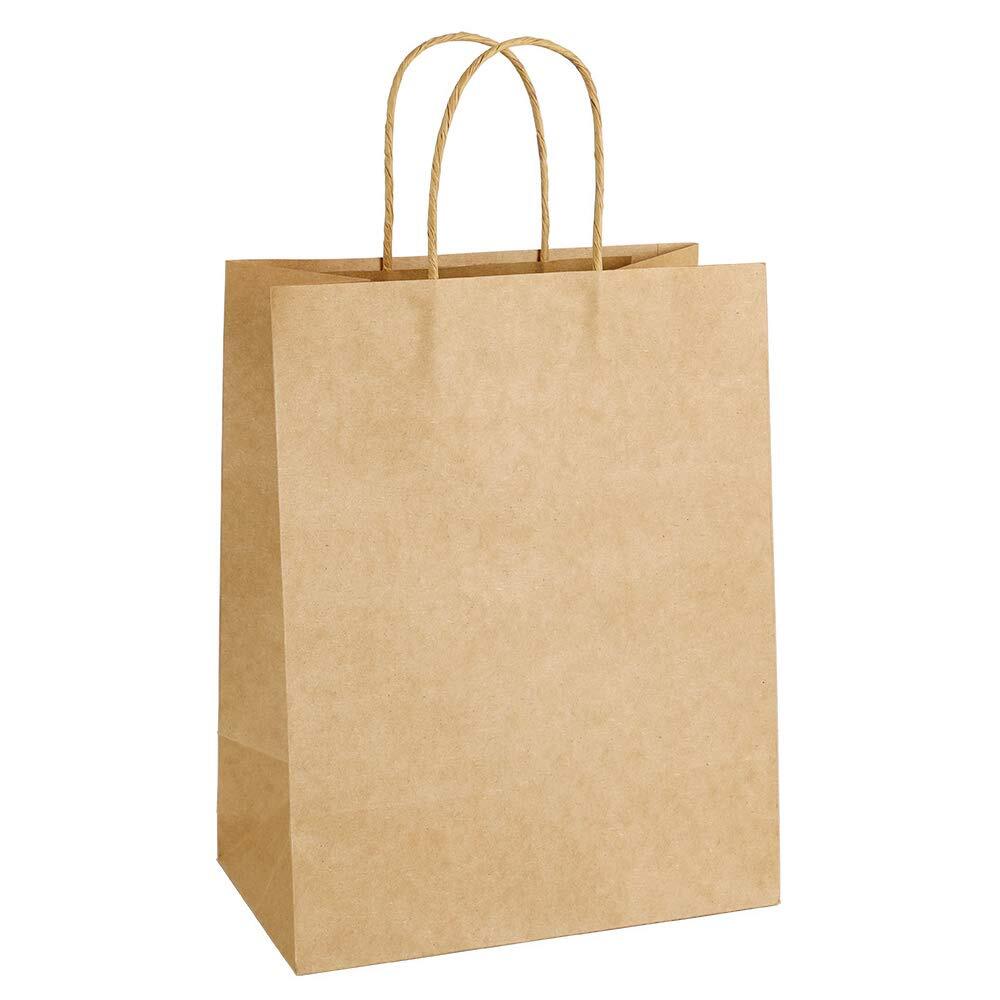 Paper Carry Bag - Kraft Paper, 9x11x8 Inches | Biodegradable, White, 3 kg Capacity, Rope Handle, Rectangular Design