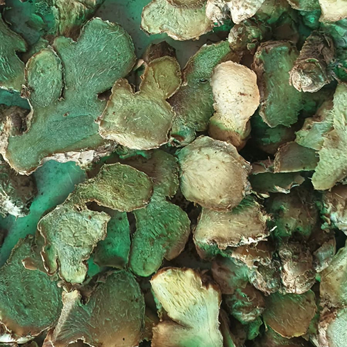 Dehydrated Ginger Flakes