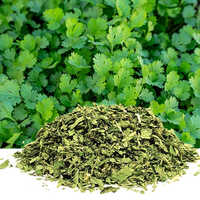 Dried Coriander Leaves