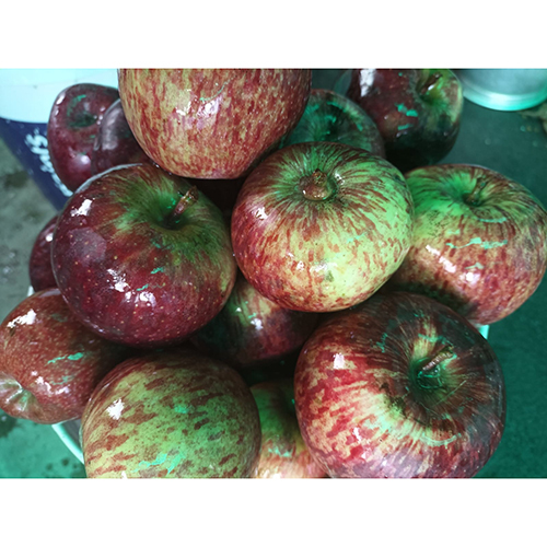 Himachal Apple - Color: Red