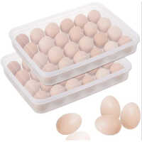 24 Grid Egg Storage Box - Eco-friendly Plastic, Rectangle Shape, Transparent Color | Smooth Surface Finishing, Plain Style For Organized Storage