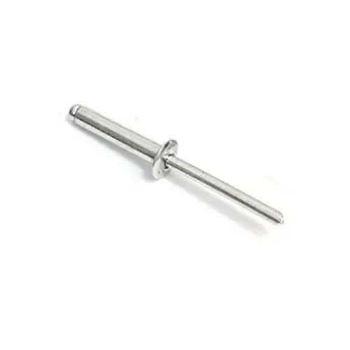 SS Blind Rivet
