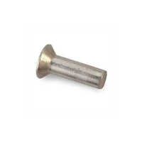 Countersunk Head Rivets - Stainless Steel, M3 Onward , Polished Silver Finish, Round Head Design For Industrial Use