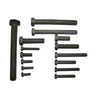 Ms Standard Bolt - M4 Onward, Polished Finish, Hexagon Head, Sleek Black Color | High Standard Industrial Hardware Fitting