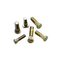 Brass Knurling Bolts - Diameter Less Than 5 Mm, Round Head Type, Sizes M6 To M24, Silver Color, Powder Coated Finish | For Industrial Use