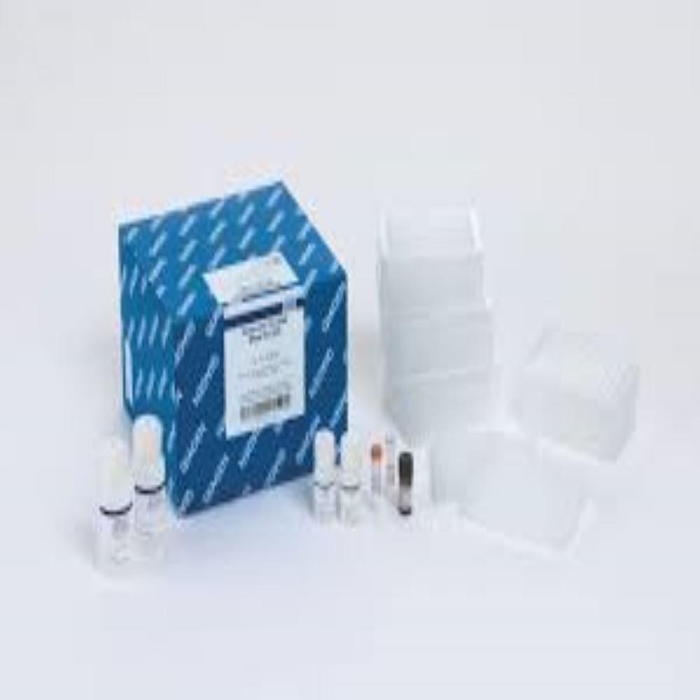 BioSprint 15 DNA Blood Kit (360)