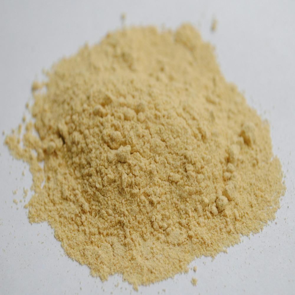 Clostridium butyricum Probiotic
