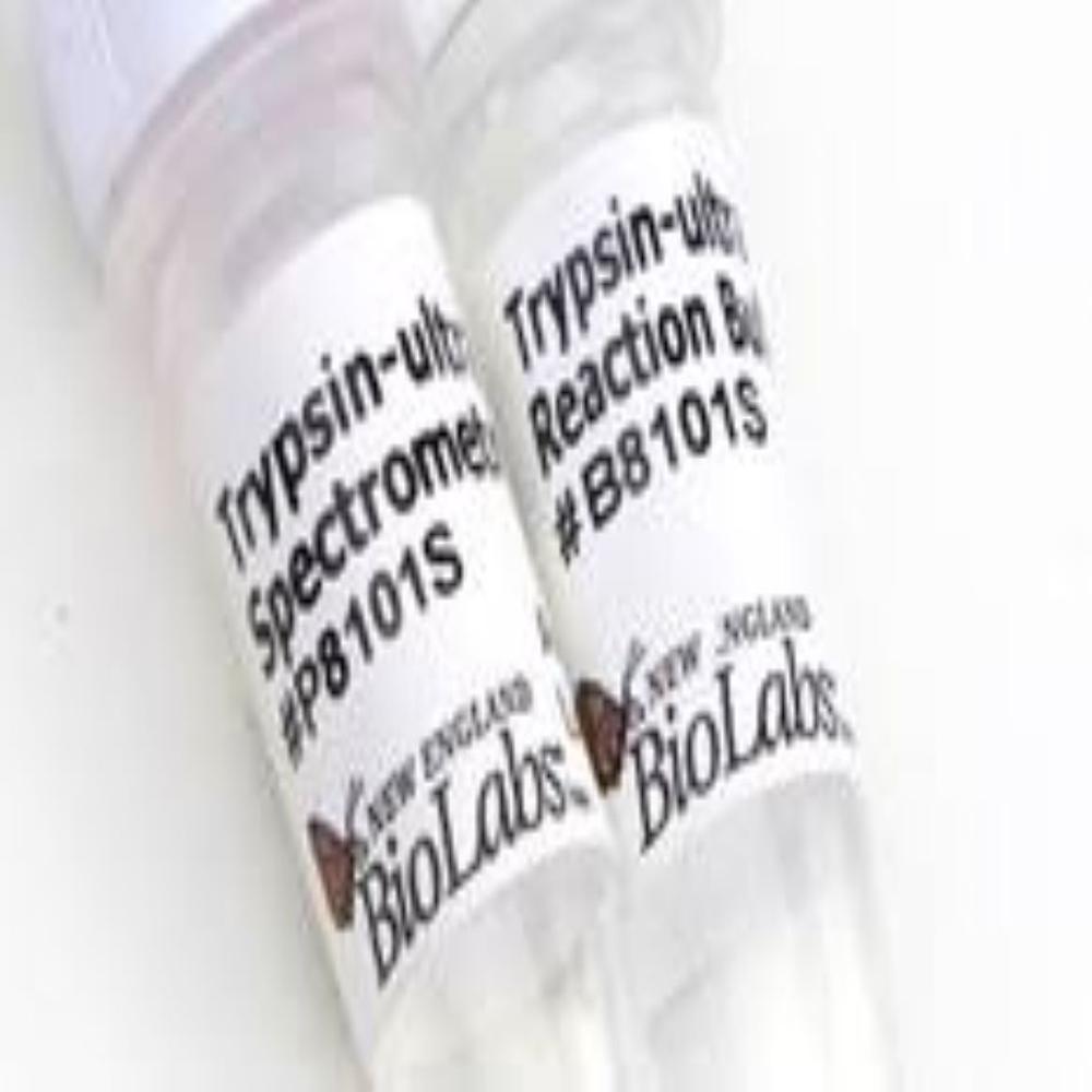 Adenosine-5 Triphosphate (atp) - Physical State: Liquid