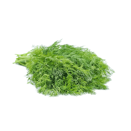 Dill Oil - Age Group: Adults