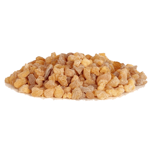 Frankincense Oil - Odour: Fresh