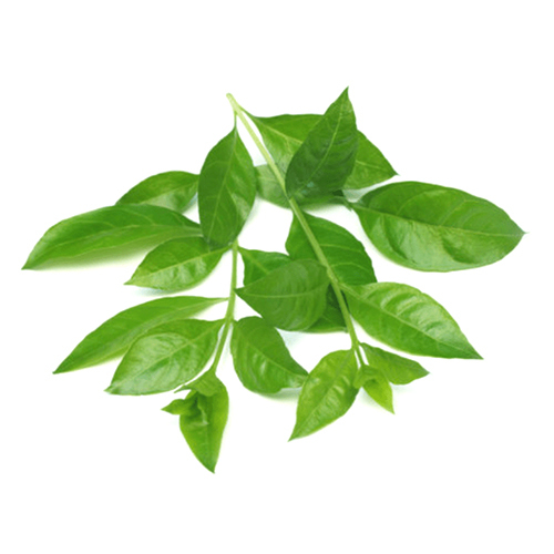 Heena Oil