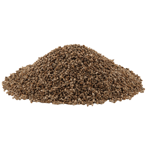 Parsley Seed Oil