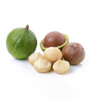 Tamanu Oil - Age Group: All Age Group