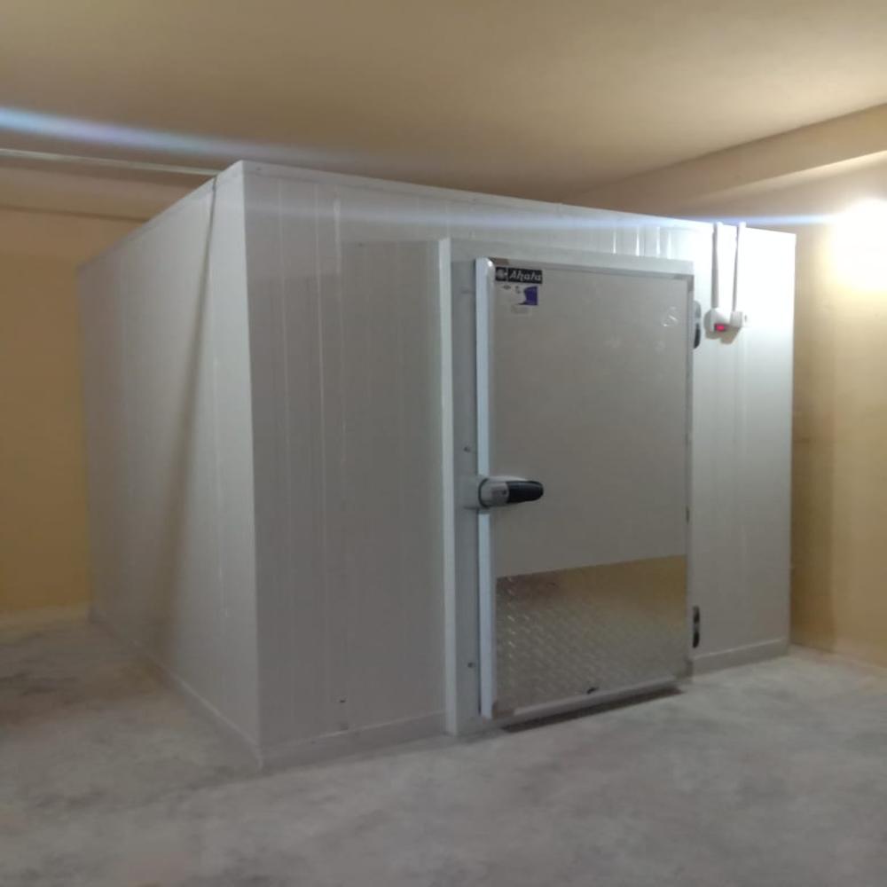 Freezer Room - Color: White