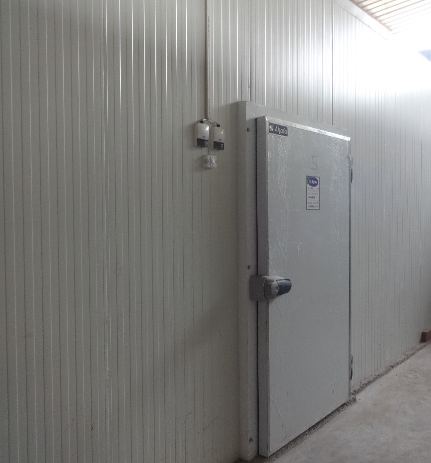 Freezer Room - Color: White