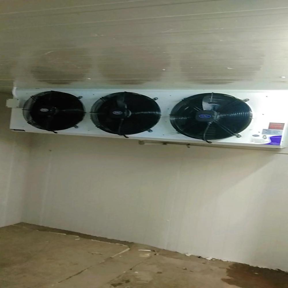 Freezer Room - Color: White