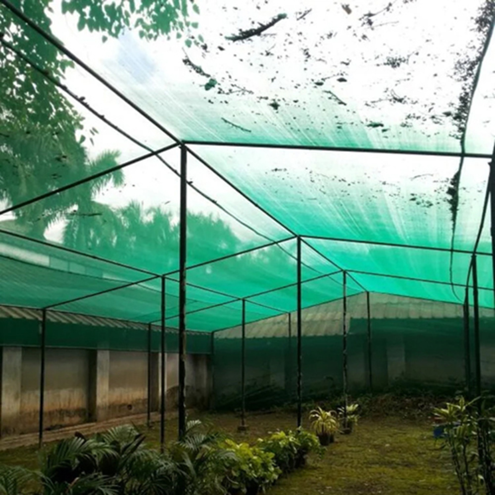 50Gm Green Nylon Agriculture Shade Net - Coating Type: Polished