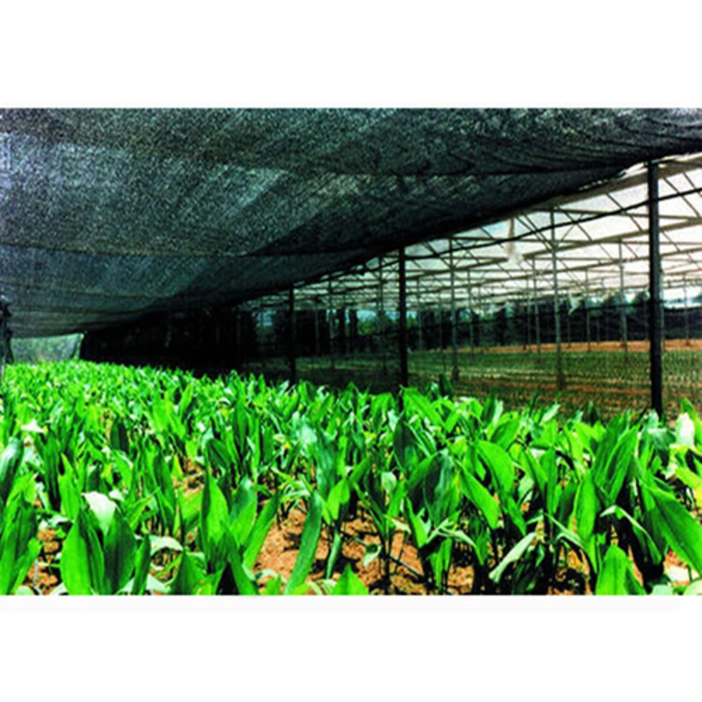 100Gm Black Hdpe Agriculture Shade Net - Coating Type: Polished