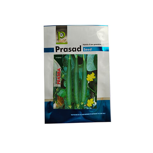 Sponge Gourd Pratiba - Cultivation Type: Common