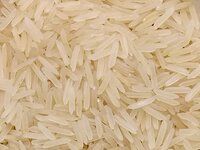 Sugandha Rice - Minimum Purity 92% , Average Grain Length 8.35 Mm, Moisture Content Below 12.5%, Packaged In Pp, Jute, Or Plastic Pouch