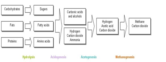 Bio Gas Plant - Feature: Eco Friendly