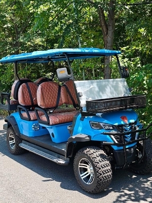 Electric Golf Cart - 6 Person Capacity, 25 Km/hr Top Speed | Eco-Friendly Electric Vehicle for Community and Leisure Transport