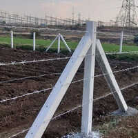 Barbed Wire Fencing