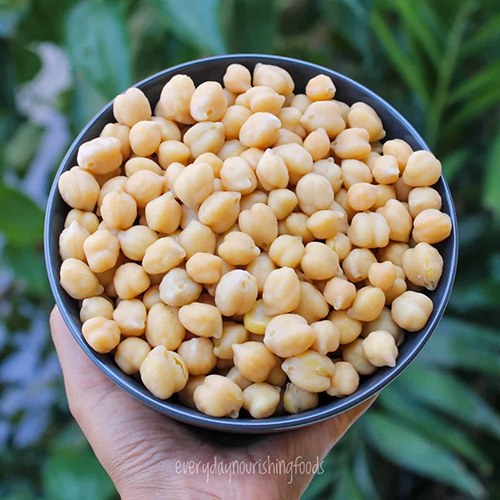 White Chickpeas - Cultivation Type: Common