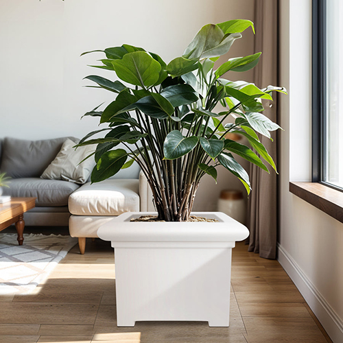 FOX B - BS White Garden Planter