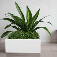 FOX B - BXT White Garden Planter