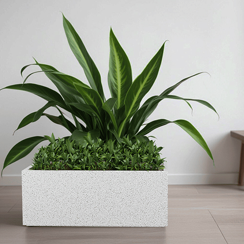 FOX B - BXT Marble White Garden Planter