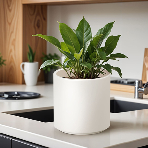 FOX B - CILIN White Garden Planter