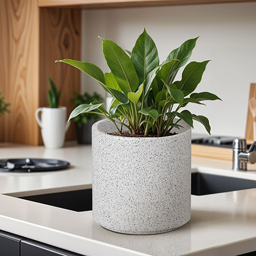 FOX B - CILIN संगमरमर सफेद बगीचे की योजना