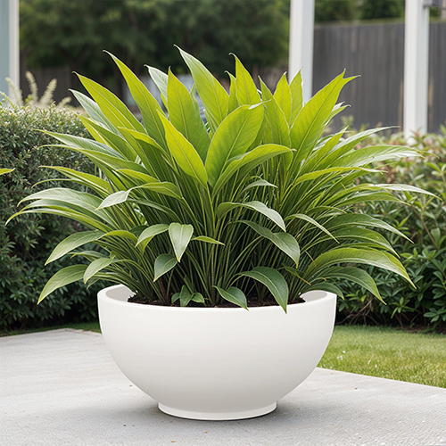 FOX B - KTR White Garden Planter