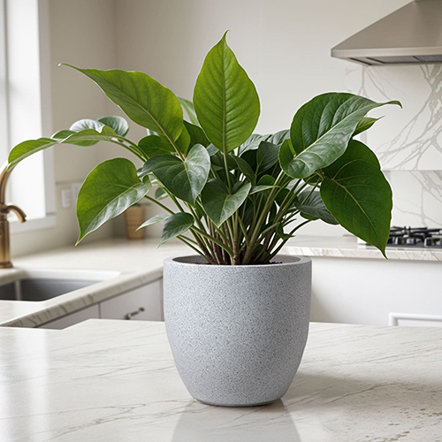 FOX B - P CUP Marble White Garden Planter