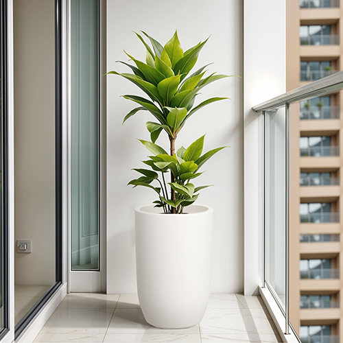 FOX B - TPC White Garden Planter