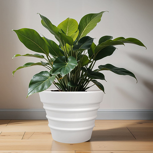 FOX B - BR White Garden Planter