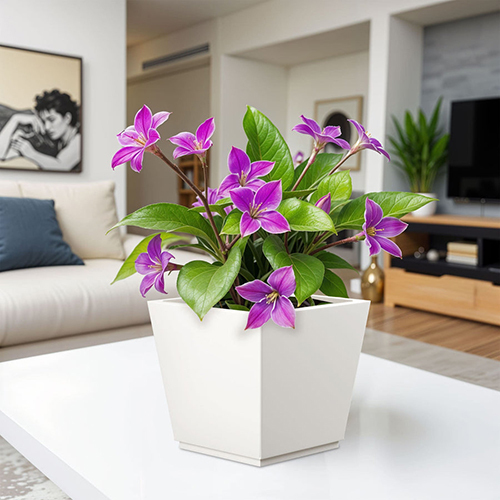 FOX B - GK White Garden Planter