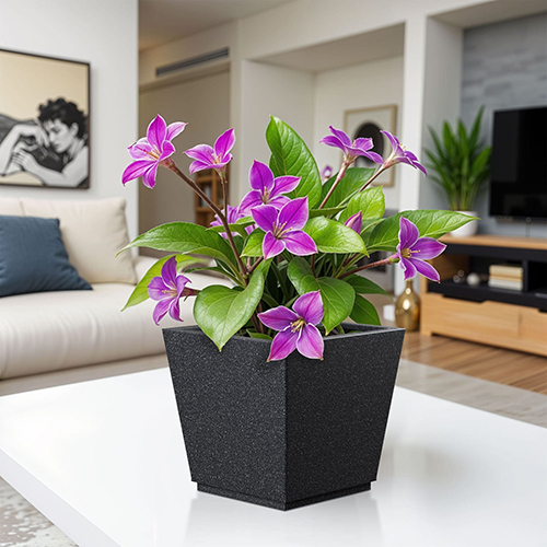 FOX B - GK Grey Garden Planter