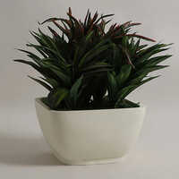 YUCCABE - ASA KTR Garden Planter