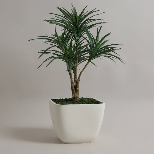 YUCCABE - ASA Garden Planter