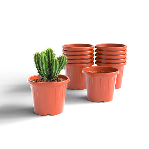 Shera - Crown Terracotta Garden Planter - Color: Various Available