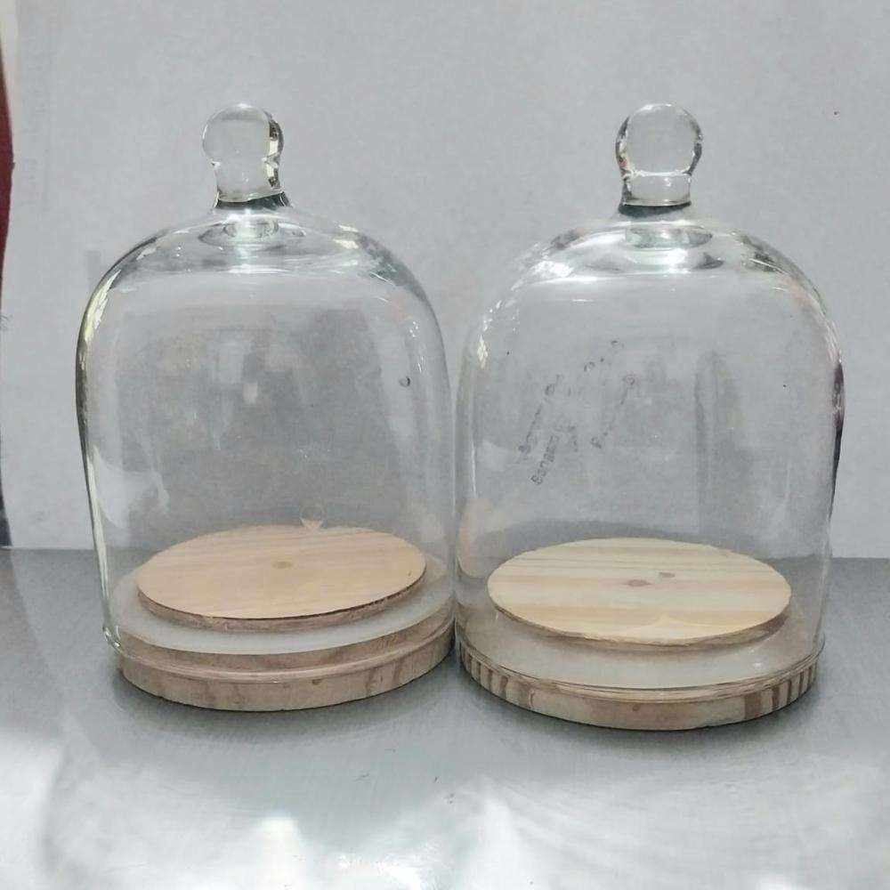 Glass Dome With Wooden Base