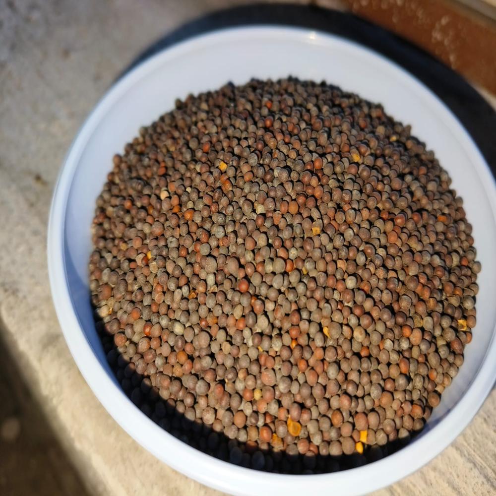 Black Mustard Seeds