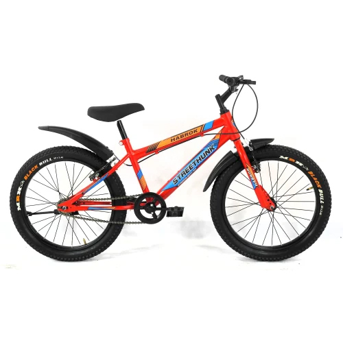 Hbk-Kd-06 20 Inch Kids Bicycle - Material: Steel