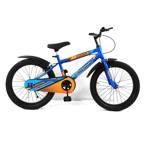 HBK-KD-08C 20 Inch Kids Bicycle
