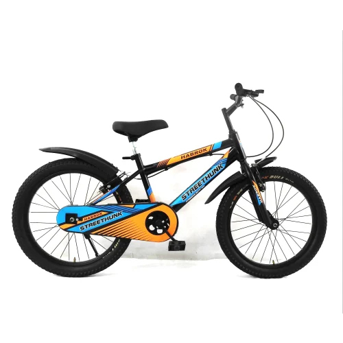 HBK-KD-06B 20 Inch Kids Bicycle