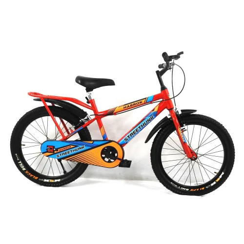 HBK-KD-09B 20 Inch Kids Bicycle