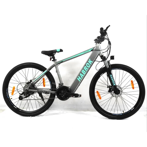 Hbk-Ae-02A 21 Speed Gear Electric Bicycle - Material: Steel