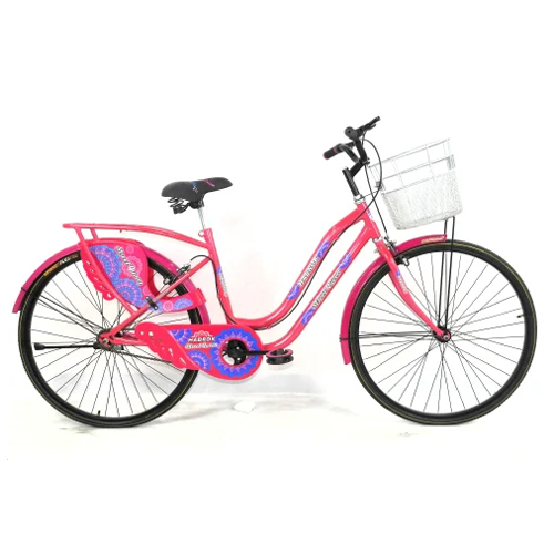 Hbk-Sl-02 Ladies Bicycle - Material: Steel